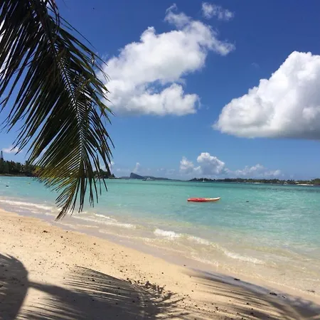 Bel Appartement Sur La Route Cotiere A 50 M D Une Tres Belle Plage